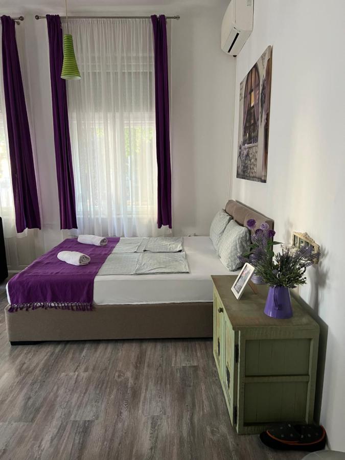 Center Cosy Vintage Apartment Novi Sad Exterior foto