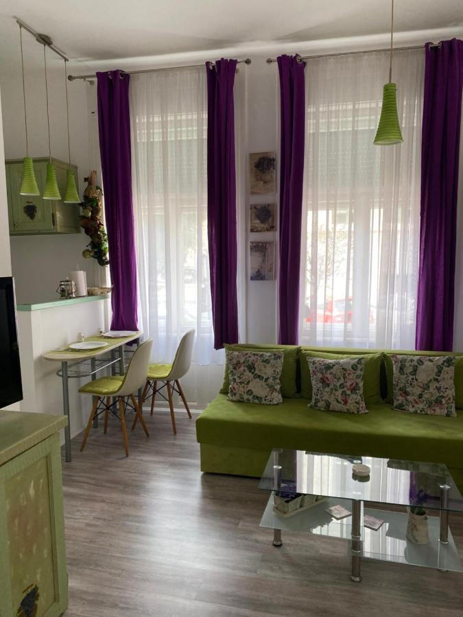 Center Cosy Vintage Apartment Novi Sad Exterior foto