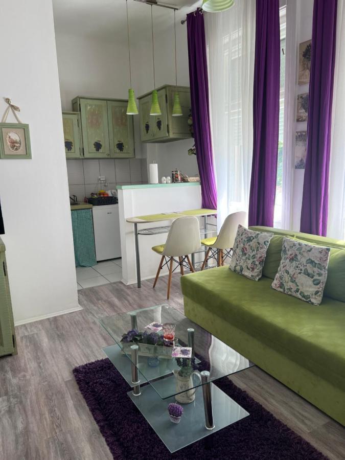 Center Cosy Vintage Apartment Novi Sad Exterior foto